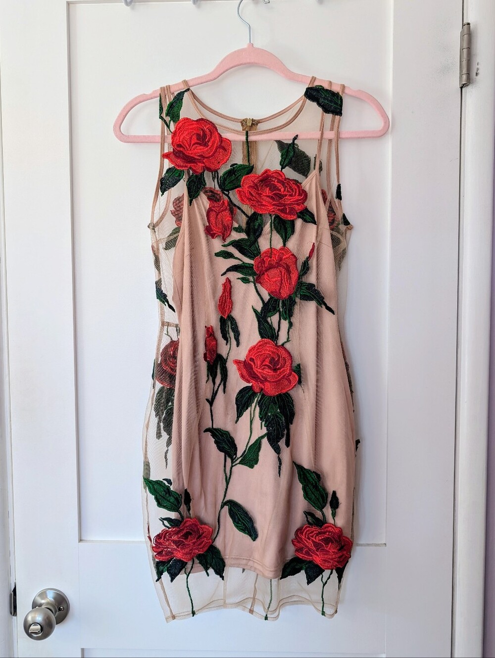 Floral Embroidered Sheer Overlay Dress — Nude with Red Roses